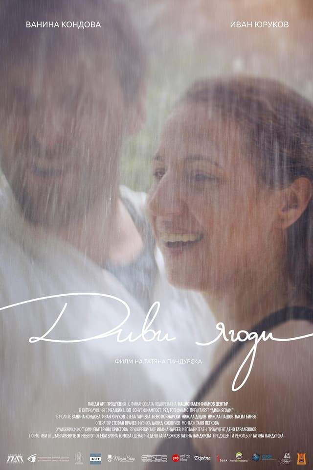 Poster for Wild Strawberries